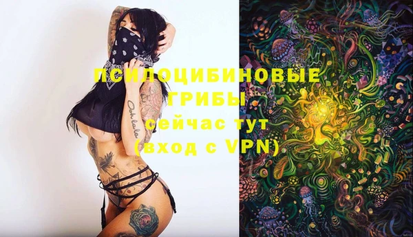 мяу мяу мука Аркадак