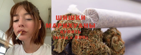 мяу мяу мука Аркадак