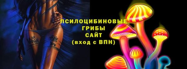 мяу мяу мука Аркадак