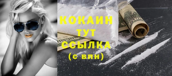 мяу мяу мука Аркадак