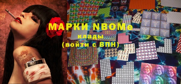 прущие грибы Баксан